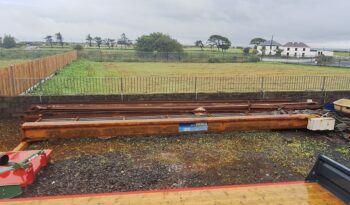 Ennis Gantry Crane full